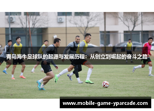 青岛海牛足球队的起源与发展历程：从创立到崛起的奋斗之路