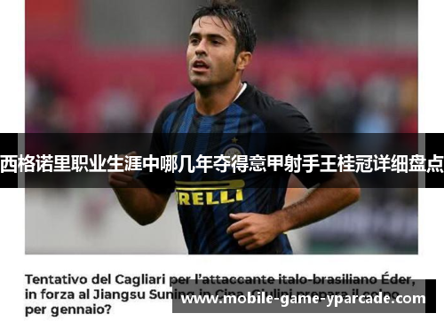 西格诺里职业生涯中哪几年夺得意甲射手王桂冠详细盘点