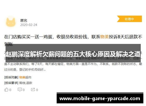 赵鹏深度解析欠薪问题的五大核心原因及解决之道