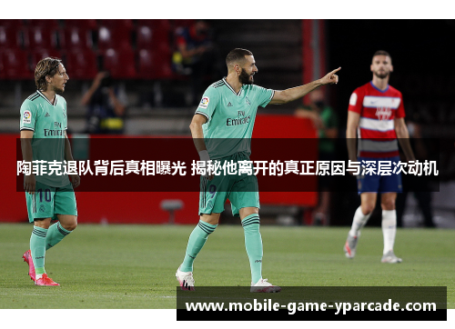 陶菲克退队背后真相曝光 揭秘他离开的真正原因与深层次动机