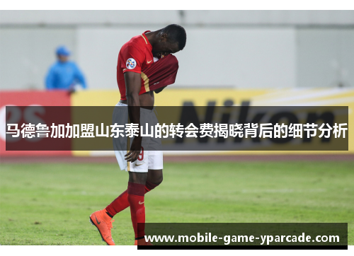 马德鲁加加盟山东泰山的转会费揭晓背后的细节分析