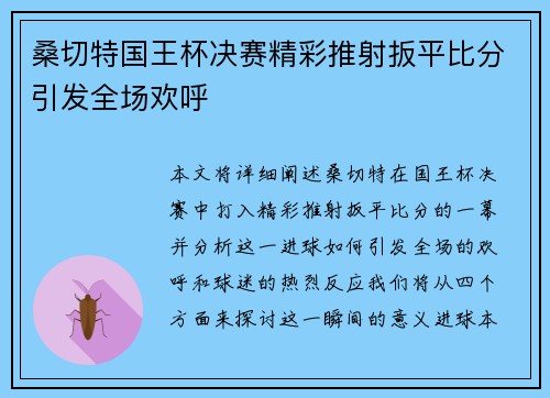 桑切特国王杯决赛精彩推射扳平比分引发全场欢呼